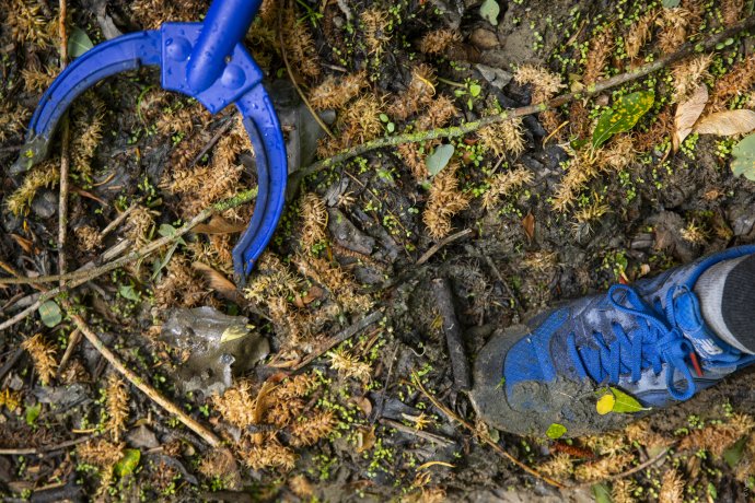 photo de ramassage de déchets