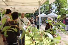 Week-end Nature 4 mai 