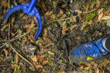 photo de ramassage de déchets