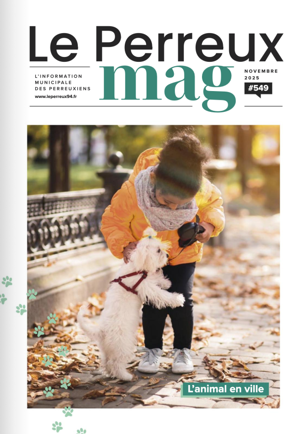 Capture d’écran 2026-03-16 à 12.50.54.png