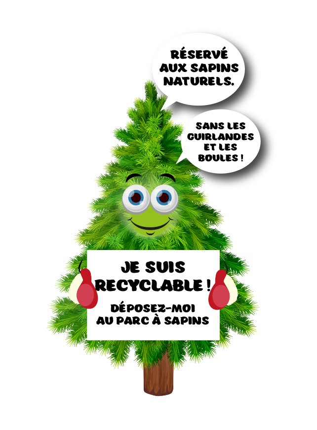 image de sapin recyclable