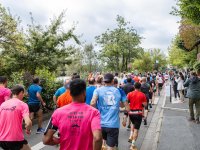 Photo de la 43e Course de la rentrée - 2024