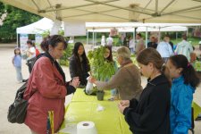 photo du Troc aux plantes