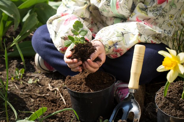 little-girl-planting-flowers-garden.jpg