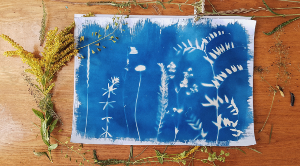 06.06 atelier cyanotypes.png